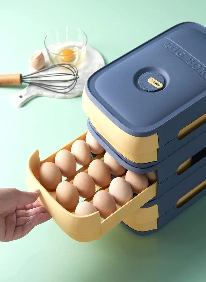 Evona Plastic Rectangular Egg Storage Drawer Organizer Box With Lid (Blue,Pack Of 1) - Image 1